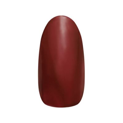 ネイルパフェ アートカラージェル A50バーガンディー 2g | ネイル