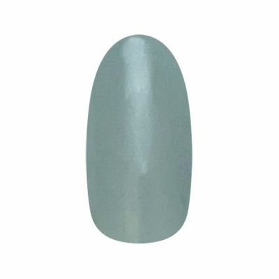 ネイルパフェカラージェル お取り寄せ ネイルパフェ カラージェル 195フロスティブルー 2g | Nail