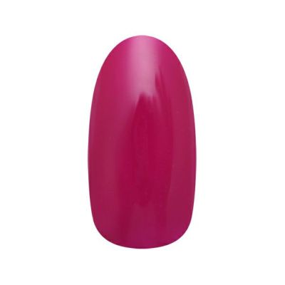 ネイルパフェ High Gloss Top Gel 25g ネイルパフェ ハイグロストップジェル25g(High-gloss Top