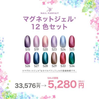 ネイルパフェ マグネットジェル 12色セット - drenioaraujo.com.br