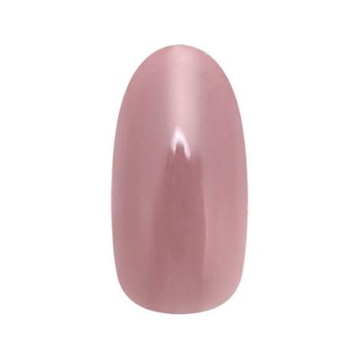 ネイルパフェ High Gloss Top Gel 25g 楽天市場】ネイルパフェ ハイグロストップジェル 25g High-gloss